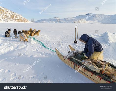 10,969 Inuit Images, Stock Photos, 3D objects, & Vectors | Shutterstock