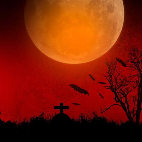 Unleashing the Magic of Samhain 2023: New Moon Solar Eclipse and Blood ...