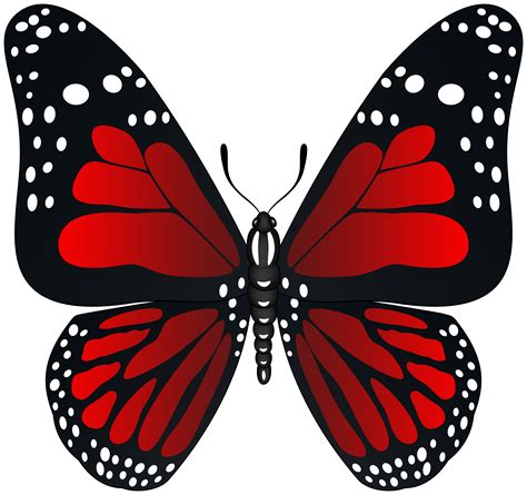 Red Butterfly Transparent PNG Image | Red butterfly, Butterfly drawing ...