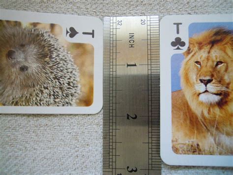 Playing cards Animal theme 36 cards Playing card deck | Etsy