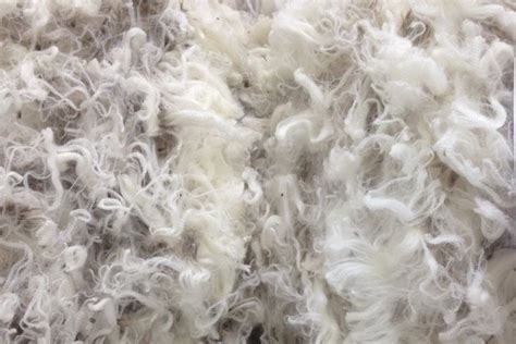 What is wool Fiber/ Physical Properties of Wool Fiber/ Chemical Properties of Wool Fiber ...