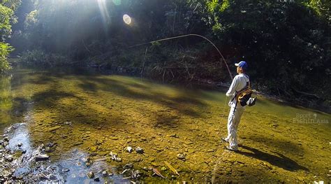 Fly Fishing for Thai Mahseer