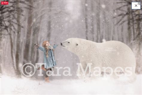 Polar Bear Snowy Scene Winter Digital Background Backdrop