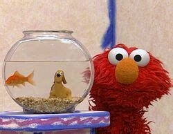 Elmo's World: Dogs - Muppet Wiki