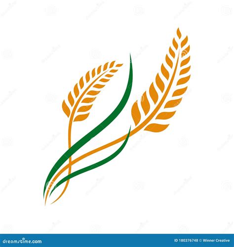 Wheat Grain And Wheat Rice Logo Inspiration Vector | CartoonDealer.com ...