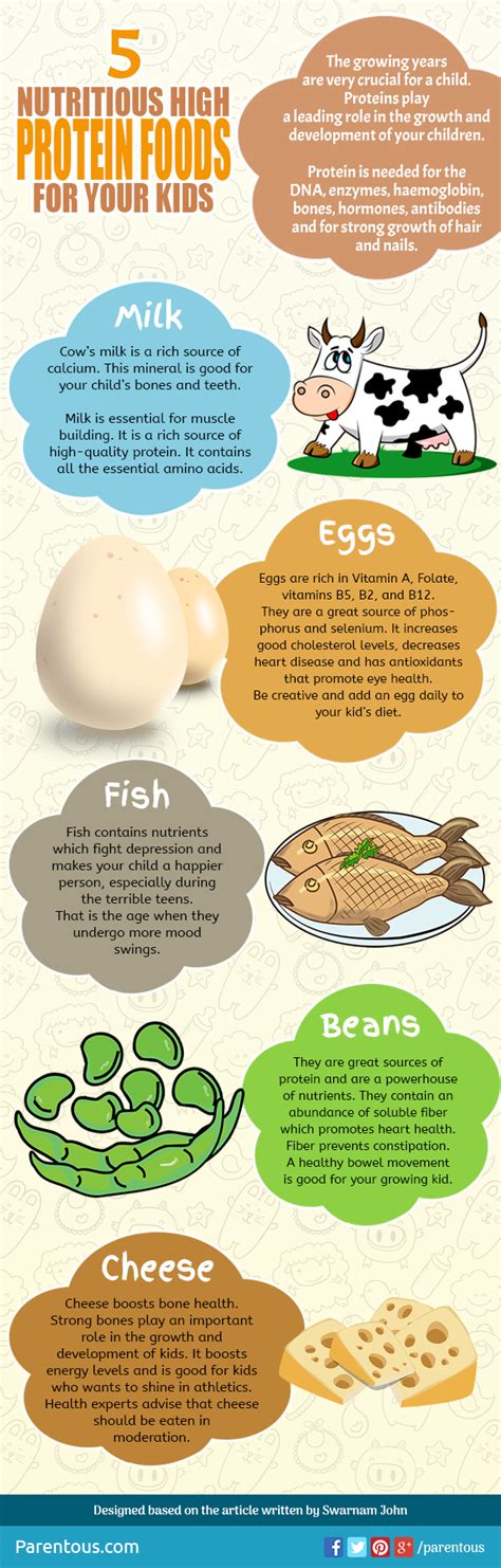 Protein Foods For Kids For Better Development And Growth - Infographic