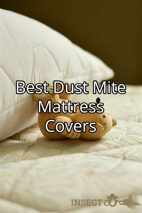 The Best Dust Mite Mattress Covers | INSECT COP | Dust mites mattress, Mattress covers, Dust mites