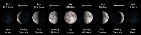 Shapes of the Sun & Moon In & Out of Eclipse | Solar Eclipse Across America