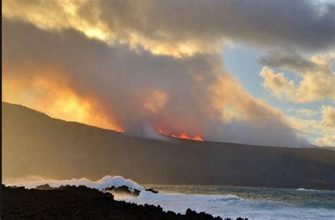 Cause of Maui Fire Revealed – True News Media