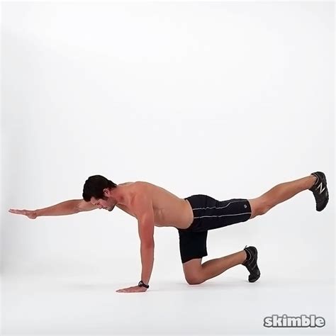 Elbow to Knee Bird Dogs - Exercise How-to - Skimble