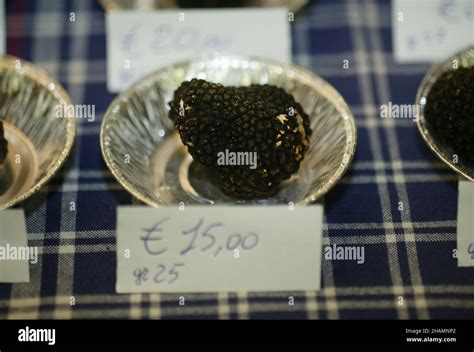 Truffle Fair at Alba, Piedmont, Italy Stock Photo - Alamy