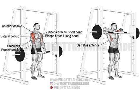 Smith machine upright row instructions and video | Weight Training Guide | Shoulder workout ...