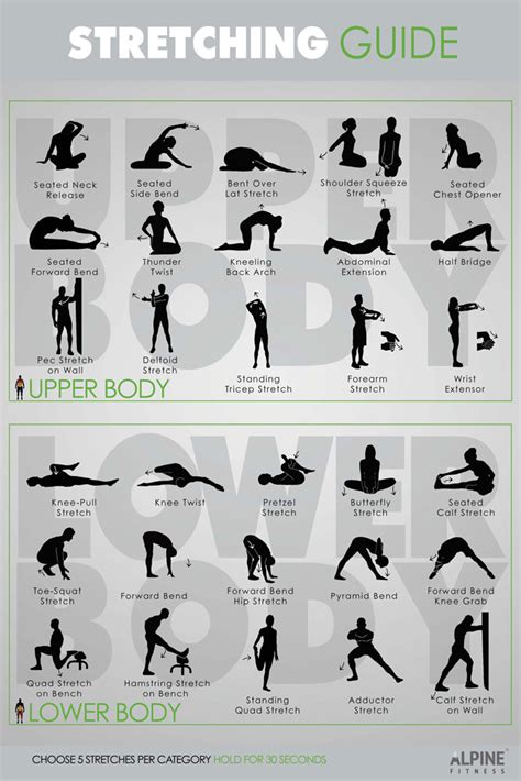 Stretching Guide Poster | Alpine Fitness