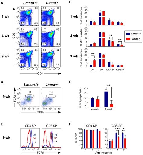 Thymocytes were stained for CD4, CD8, CD69, and panTCRβ surface... | Download Scientific Diagram