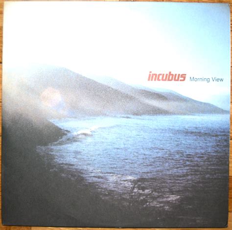 Incubus - Morning View Vinyl 2xLP (0riginal Press) on Storenvy