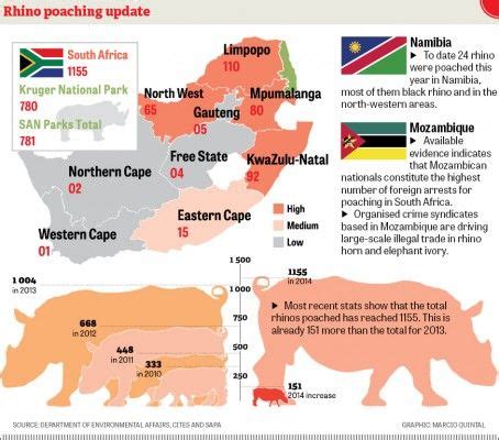 Over 1155 rhinos poached in 2014 – Infographic | Rhino poaching, Rhino, Western area