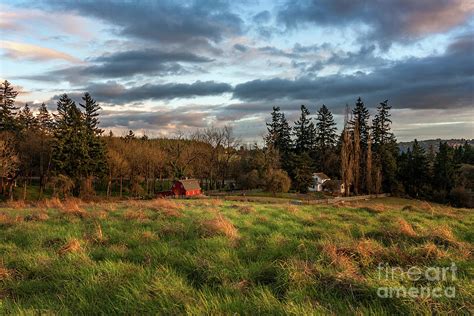 Little Red Barn Photograph by Ronda Kimbrow - Fine Art America