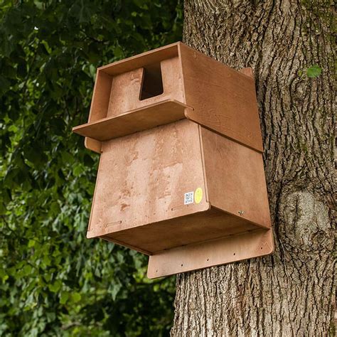 Buy Barn Owl Nest Box from garden Gift Shop