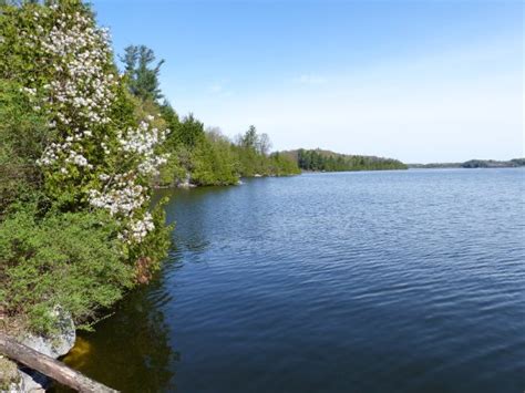 Shelburne Pond - 2021 All You Need to Know BEFORE You Go (with Photos) - Tripadvisor