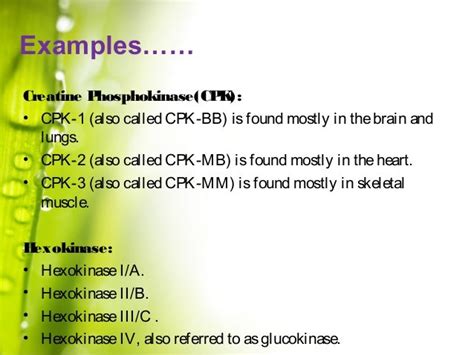 LDH Isoenzymes