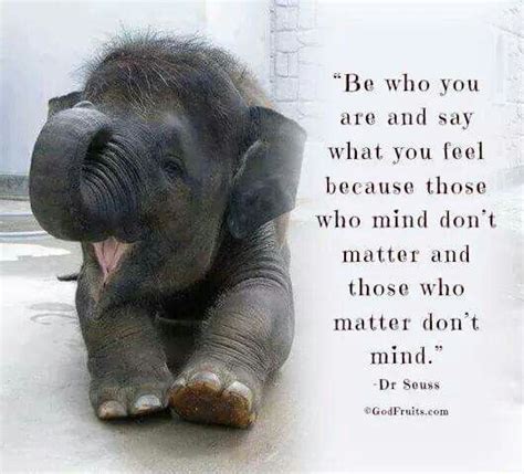 Dr Seuss | Elephant quotes, Funny elephant, Elephant love