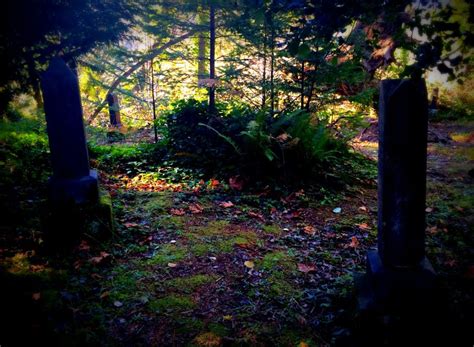 Old Abandoned Olalla Cemetery ~Starvation Heights~ | Cemetery, Cemetary, Creepy houses