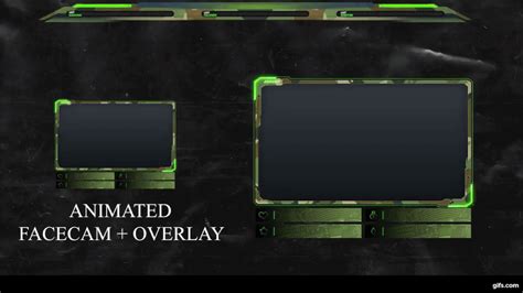 Facecam Overlay Animated Gif | Images and Photos finder