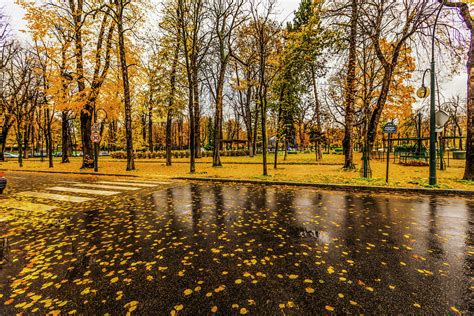 Paris_raining_autumn_cityscape | Landschaft, Natur, Herbst