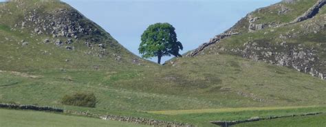 The Sill and Hexham - Glen Valley Tours