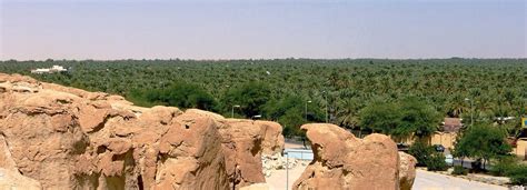 Al Hofuf oasis, Saudi Arabia | Natural landmarks, Landmarks, Places ive been