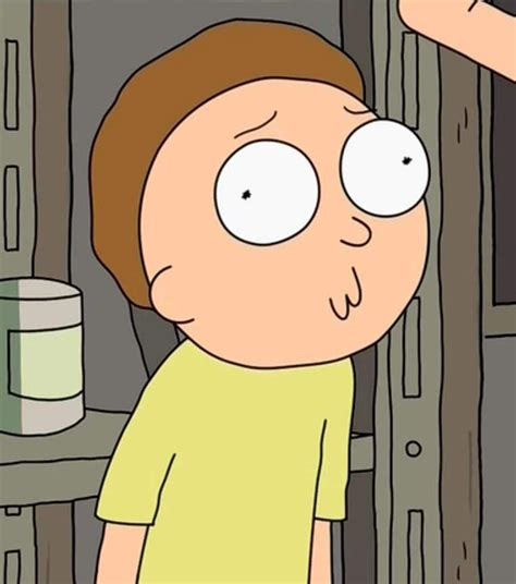 Ever noticed when morty makes his embarrassment face it looks kind of ...