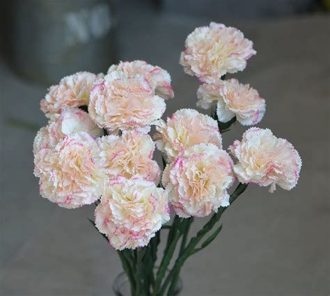 Peach Blush Carnations Real Touch Carnations DIY Wedding - Etsy