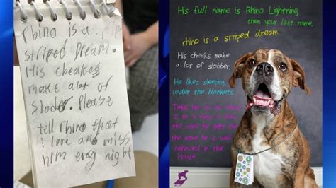 Dog left at shelter with heartbreaking story written by a little girl ...