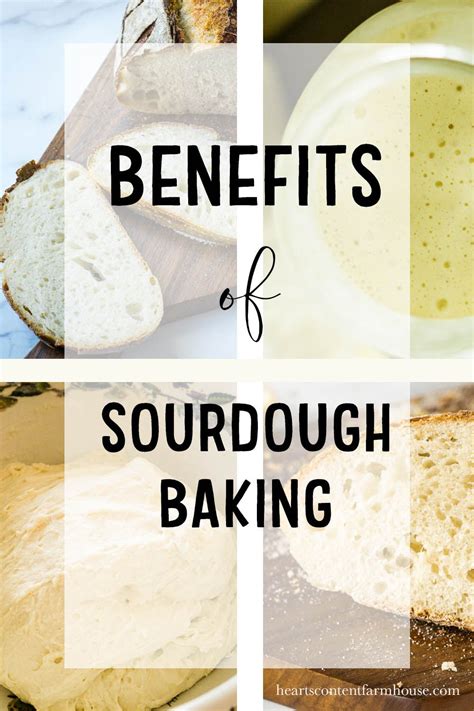 Six Benefits of Sourdough Bread | Sourdough bread benefits, Sourdough bread, Sourdough