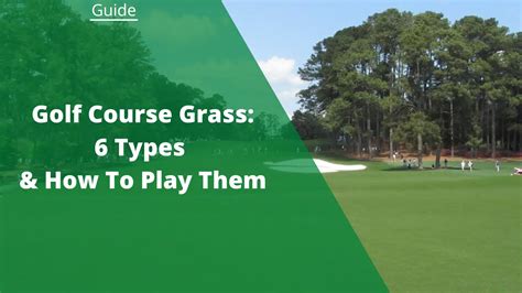 Golf Course Grass: 6 Types & How To Play Them