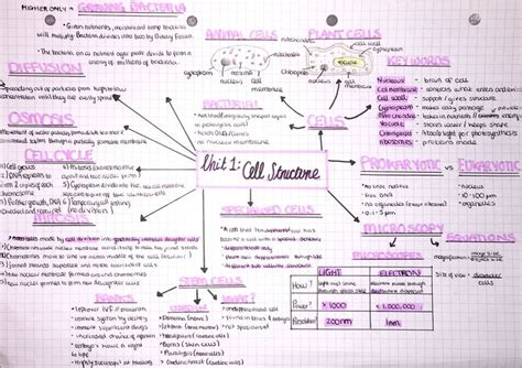 biology revision #biology in 2020 | Gcse biology revision, Gcse science revision, Biology revision