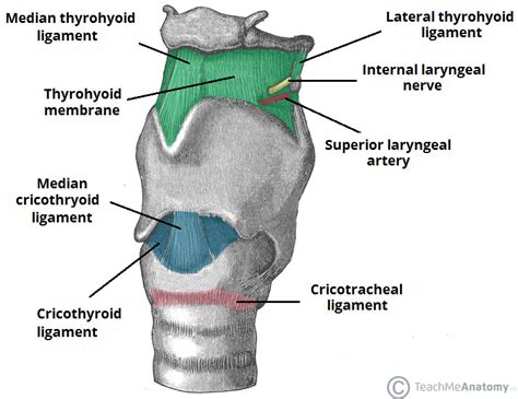 EM Didactic: November 2018