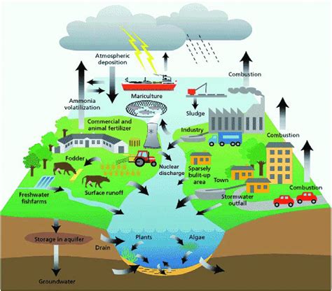 Groundwater Pollution Diagram | Hot Sex Picture