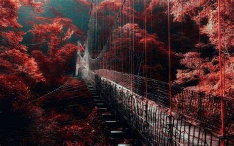 nature, Landscape, Red, Forest, Bridge, Mist, Trees, Walkway Wallpapers ...