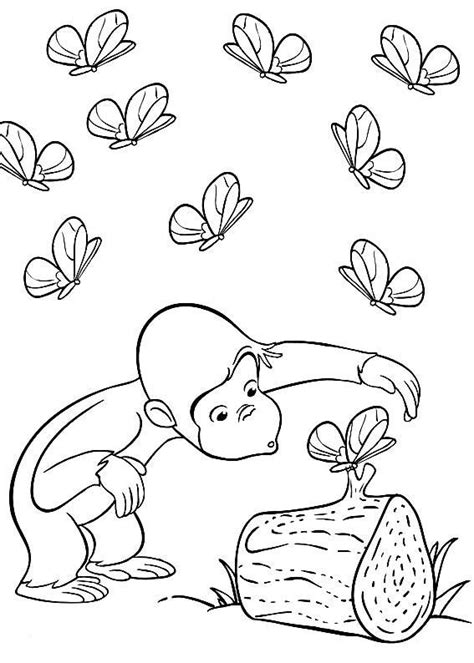 Curious George | Curious george coloring pages, Monkey coloring pages, Butterfly coloring page