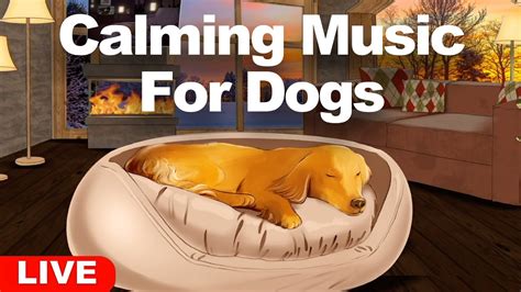 24HR Calming Music For Dogs 😴 - YouTube