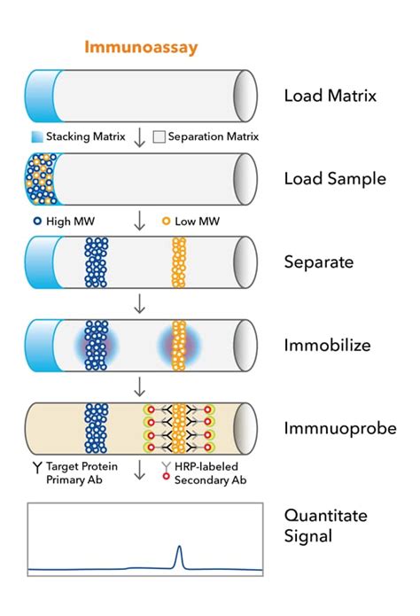 Automated Immunoassay Analyzer | Simple Western Instruments