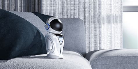 companion robot on Behance