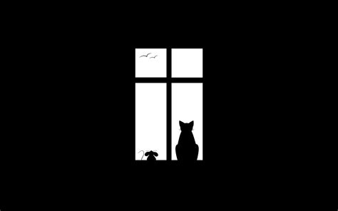 Silhouette of cat in the window, black background wallpapers and images ...