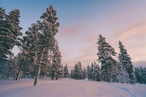 The Definitive FAQ Guide to Winter In Finnish Lapland • The Cutlery ...