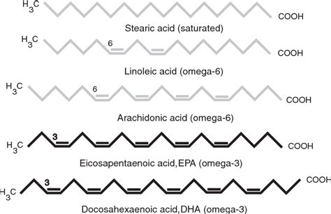 Figure 2 from Omega-3 Fatty acids: structure, function, and relation to the metabolic syndrome ...