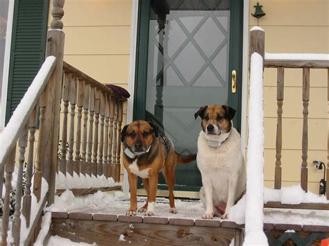 Shae_Emmy_porch | Emmy & Shae on front porch | Ellie Walsh | Flickr