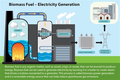 Free Vector | Biomass Fuel Electricity Generation Diagram