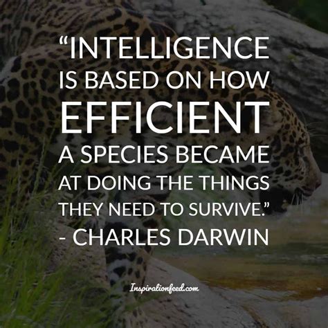 35 Charles Darwin Quotes And Sayings about Life, Survival, and Change ...