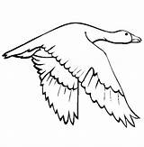 Goose Coloring Page sketch template
